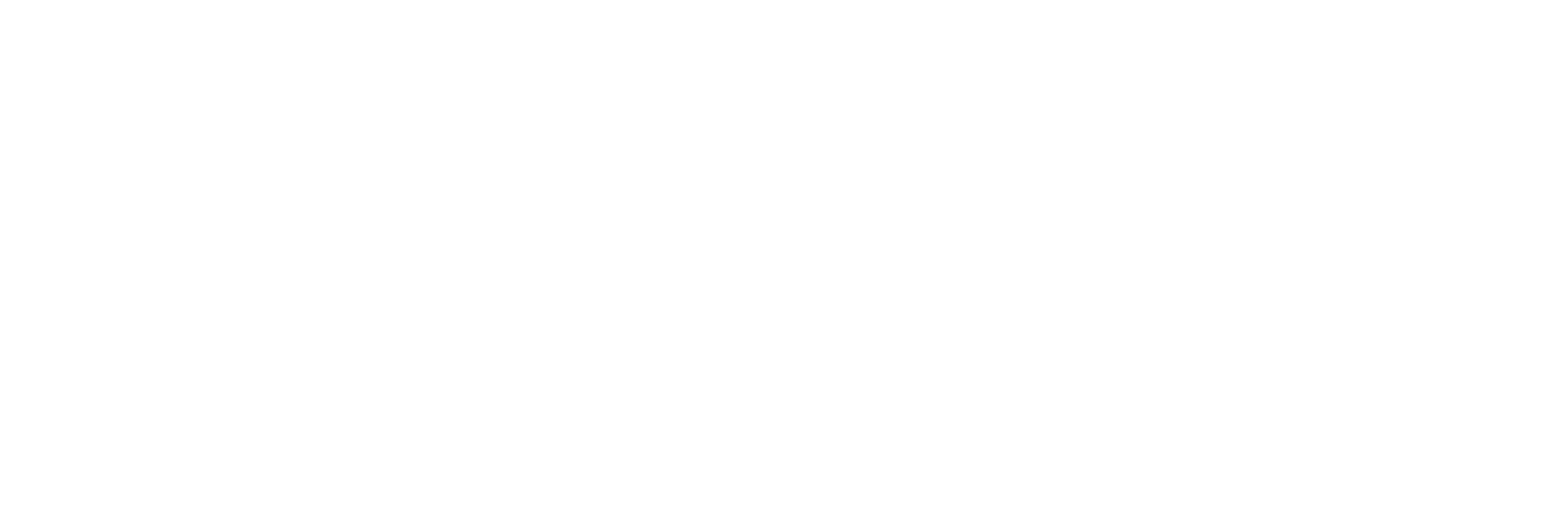 Logo FFCAM Blanc